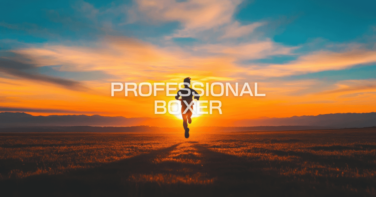 PRPFESSIONAL BOXER