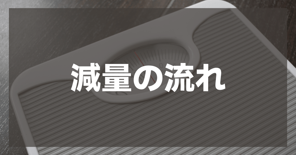減量の流れ