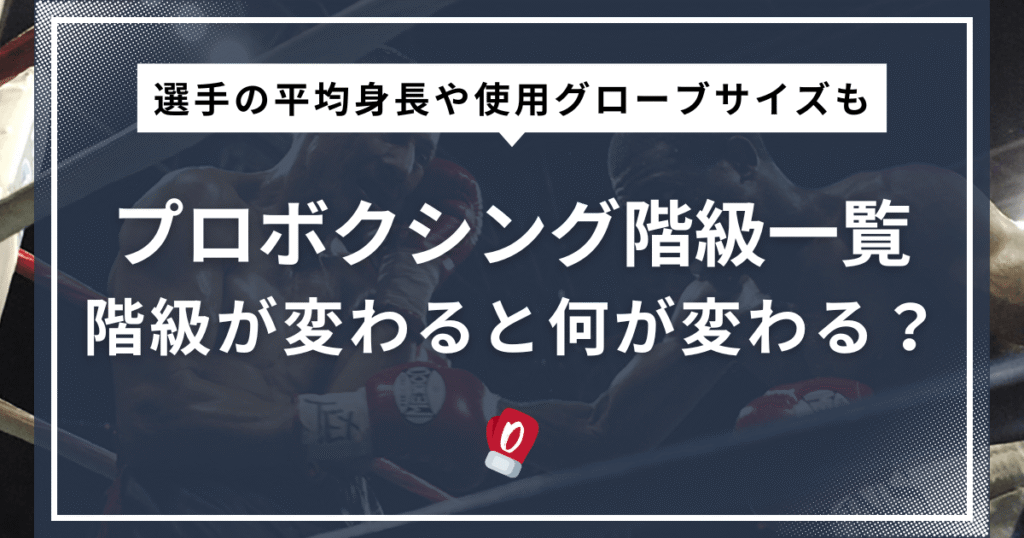 プロボクシング階級一覧