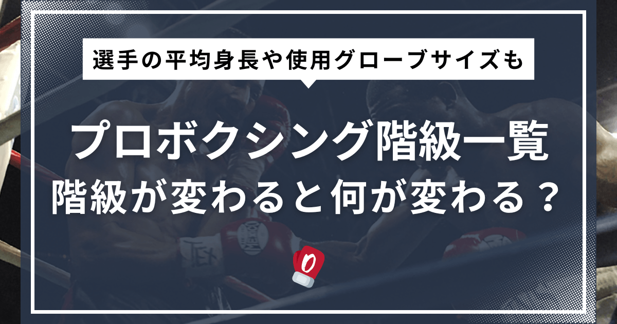 プロボクシング階級一覧