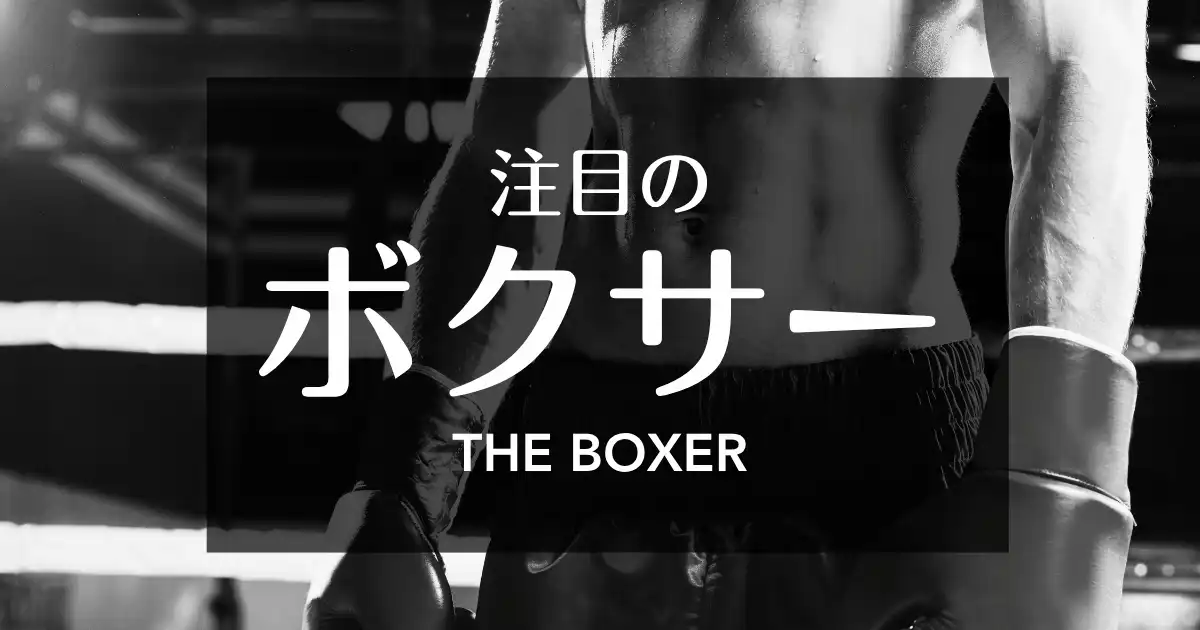 注目のボクサー
